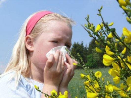 Polen alerjisi belirtileri nelerdir? Bahar alerjisi nedir? Bahar nezlesi nasıl geçer?