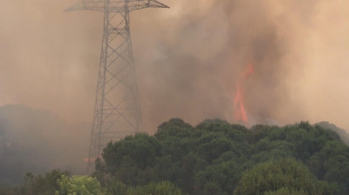 Hasdal'da Askeri Bölge Yakınında Bulunan Ormanlık Alanda Yangın Çıktı!