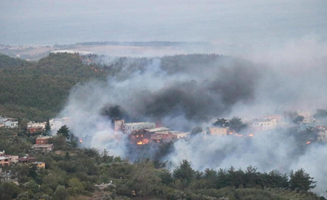Son dakika: Hatay'da orman yangını! Bazı evler tahliye edilirken, Bodrumda alevler yeniden yükseldi.