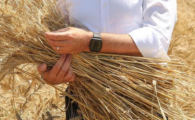 Dolmabahçe'deki diplomasi zaferinin ilk yansıması: Buğday fiyatları düştü