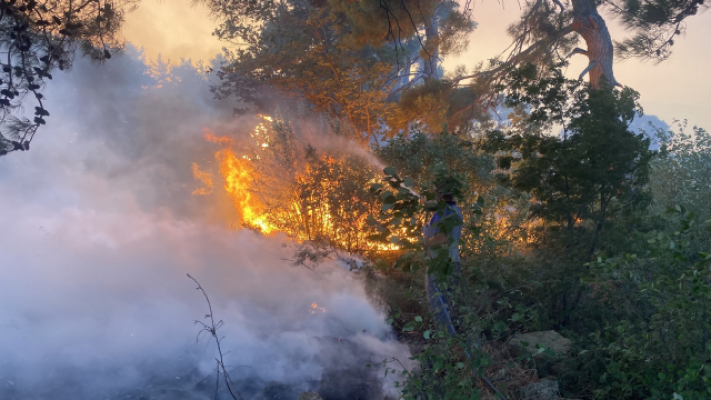 Son Dakika: 3 İlde Orman Yangınları Devam Ediyor...