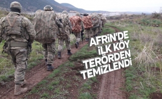 Afrin harekatında (Zeytin Dalı) son durum: 4 köy teröristlerden alındı