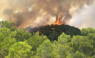SON DAKİKA ...Antalya'da korkutan orman yangını!