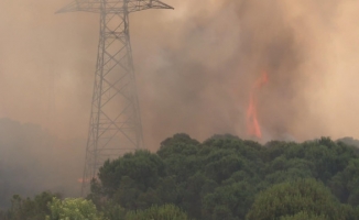 Hasdal'da Askeri Bölge Yakınında Bulunan Ormanlık Alanda Yangın Çıktı!