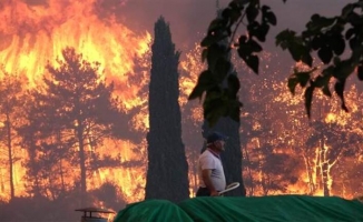 Türkiye'nin alevlerle mücadelesi... 8 ilde 16 ilçede orman yangını!