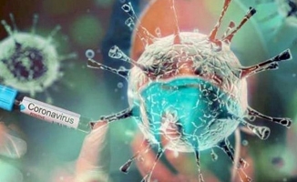 Koronavirüs salgını nihayet bitiyor mu?
