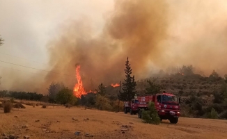 Mersin'de orman yangını: 30 ev tedbiren boşaltıldı.