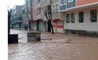 2 hafta sonra Şanlıurfa'yı yine sel vurdu: Ev ve iş yerlerini su bastı!