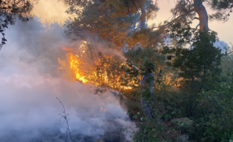 Son Dakika: 3 İlde Orman Yangınları Devam Ediyor...