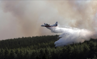 Türkiye'den Yunanistan'daki orman yangınlarıyla mücadeleye destek
