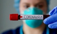 Bilim Kurulu üyesi Prof. Dr. Hasöksüz: Türkiye'de koronavirüs mutasyonu saptanmadı.