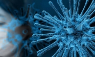 Koronavirüsten sonra şimdi de mutasyon seferberliği! Genelge yayınlandı Yeni Önlemler..