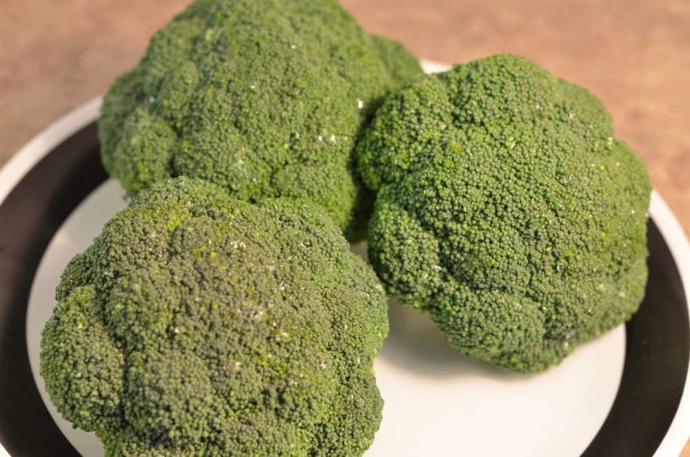 Elif Bilgin Baş Köşe Yazısı Brokoli
